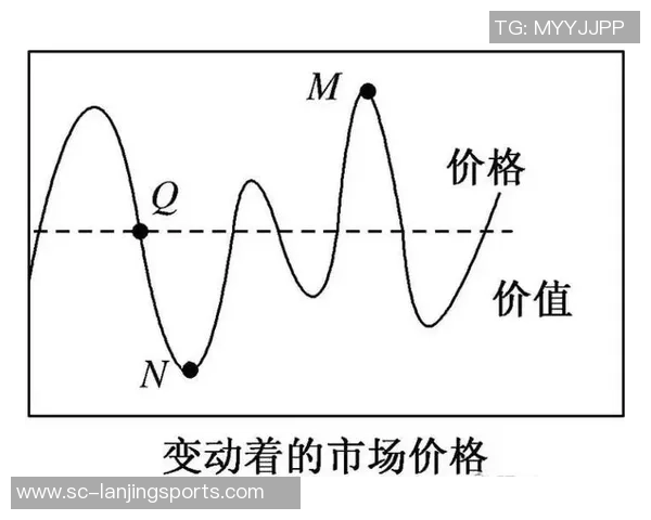 足球明星转会市场价格分析及未来潜力评估报告